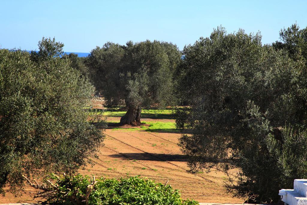 Masseria Pittore Савеллетри Экстерьер фото